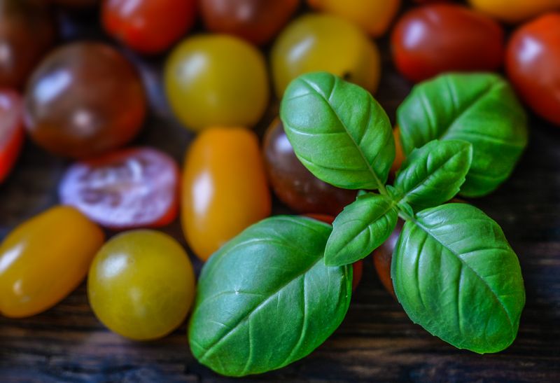 Fresh garden salad with cherry tomatoes and greens